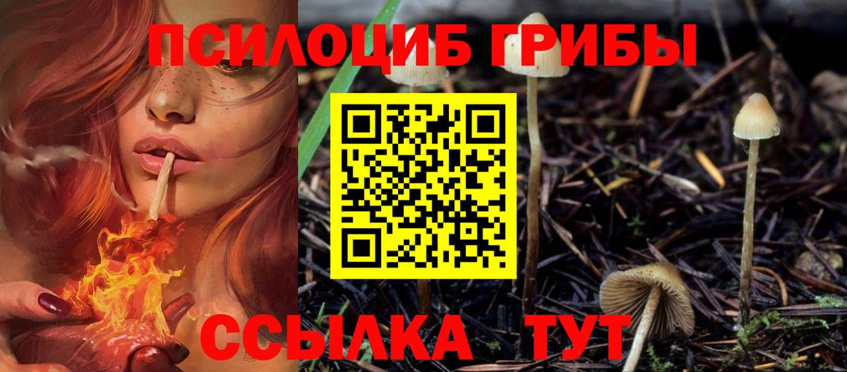 цены   Псилоцибиновые грибы прущие грибы  Вход с VPN  Ковров 
